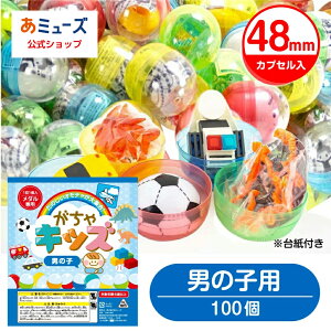 yz~[Y K`K` ii K`K`p  100 JvZ 48mm JvZ LbYj̎qp ߋ K`K` g ii  K`| JvZgC