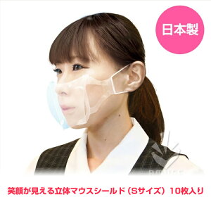 򖗖h~I}EXV[hySTCYz⏬߁i10j