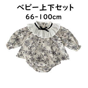 xr[ ̎q ZbgAbv uEX V[gpc  66 73 80 90 100 xr[ H H  ԕ  t 2_Zbg ㉺Zbg  Ԃ v[g Be gbvX {gX