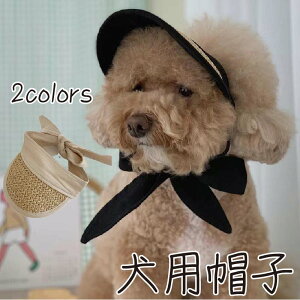  Xq  Lbv  t ^  j̎q ̎q CX^f Ă~ BeACe y y Be JCC ObY  ANZT[ t@bV Ckp ʗp O