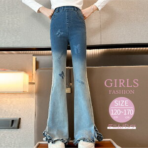 ̎q tApc   Of[V fjpc W[Y Opc Y{ t@V t H q w w WjA 120 130 140 150 160 170 cm O p