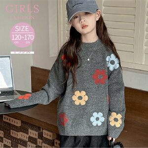 q Z[^[ t[  킢 t H ̎q  N[lbN  gbvX LbY K[Y WjA ʉ ʊw O[ 120 130 140 150 160 170 cm