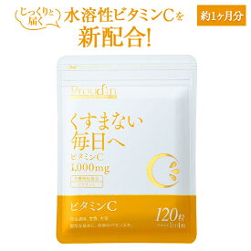 ビタミンC サプリメント ／一粒にビタミンCを250mg 美容 抗酸化作用 健康維持 120粒 ヴァイタミンファクトリー【栄養機能食品（ビタミンC）】（ ビタミンC , レモン果汁 , ローズヒップ ）