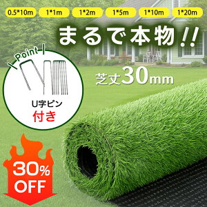 X[p[SALE葁30%OFFlH st [ lH st lH [ lHŐ lHŃ}bg lHŃ[ Œs  x_ eX oRj[ K[fjO K[f 