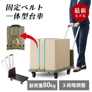 \̔ŐVfŒxg[̌^ ܂肽ݎ ω׏d80kg yʃRpNg \ ÉLX^[ Lkב ŒpS[vt hЗp AEghA ԁ@^