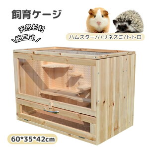 ybgP[W pP[W ƒp ^ P[W bg nX^[ Q[W nlY~ nlY~ ƂȂ̃gg X g VR h 60*35*42cm ŎtKv