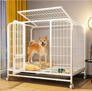 ybgP[W B  P[W ybgT[N hbOP[W ybgtFX ^ ^ ^p ybgpi LX^[t