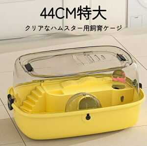 nX^[pP[X nX^[P[W  nEX 傫  Wt WKA Jt P[W ^P[W 킢  gݗĎ P[W