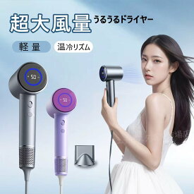 ドライヤー 大風量 速乾 時短 ヘアドライヤー 億単位マイナスイオン ドライヤー 速乾 軽量 静音 静電気除去 高速 ドライヤー 髪質改善 美容家電 ヘアケア 美髪 速乾 大風量 時短 レディース メンズ ヘアサロン 冷熱風 家庭 うるおい美髪 髪に優しい