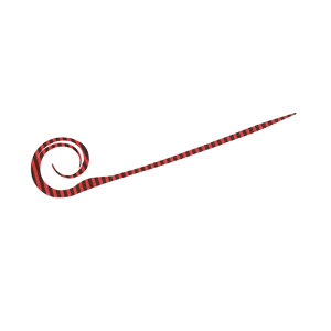 nuT SE181 t[XCh JX^lN^C cCJ[[X 6 bh[u | ދ ނ tBbVO