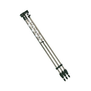 ꐸH T[tOr XeX2 | ދ ނ tBbVO