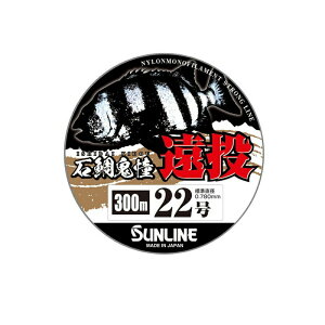 TC ΑS  300m 22 CG[O[ | ދ ނ tBbVO