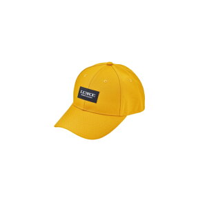 ܂ LE9010 R[fLbv }X^[h | ދ ނ tBbVO