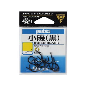 ܂  13  | ދ ނ tBbVO