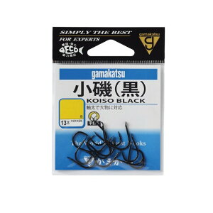 ܂  9  | ދ ނ tBbVO