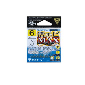 ܂ A1 GrMAX 6  | ދ ނ tBbVO