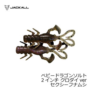 yubNtCf[ Ԓ Gg[P10{IzWbJ xr[hS 2C` for `k ZNV[tiV | ދ ނ tBbVO