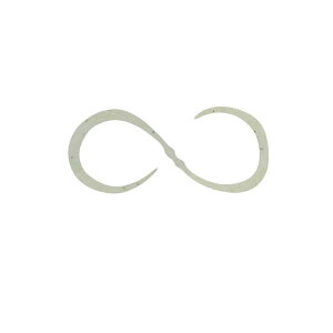 WbJ rrT+lN^C J[[ F212 VXNA[ | ދ ނ tBbVO