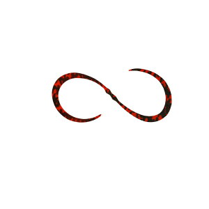 WbJ rrT+lN^C J[[ F187 V}V}bh | ދ ނ tBbVO