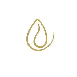 WbJ rrT+lN^C tBlXJ[[ F107 CJiS[h | ދ ނ tBbVO