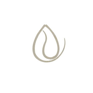 WbJ rrT+lN^C tBlXJ[[ F212 VXNA[ | ދ ނ tBbVO