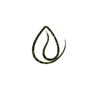 WbJ rrT+lN^C tBlXJ[[ F193 V}V}OpS[h | ދ ނ tBbVO