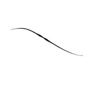 WbJ rrT+lN^C Z~J[[ F116 ^bht[N | ދ ނ tBbVO