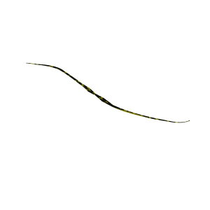 WbJ rrT+lN^C Z~J[[ F193 V}V}OpS[h | ދ ނ tBbVO