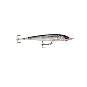 yubNtCf[ Ԓ Gg[P10{Izp FE85-GDROL t[^[G[g 8.5cm GDROLMfBbhCu[` | ދ ނ tBbVO