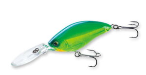 yubNtCf[ Ԓ Gg[P10{Iz[d 3DSNNDD65F SSH ZNV[Vbh | ދ ނ tBbVO