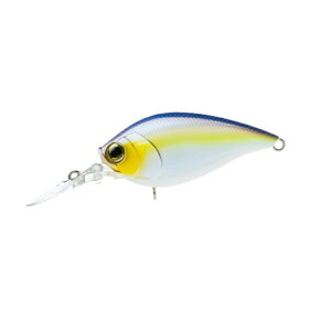 fG R1364-BSSH n[hRANNMR60F u[ZNV[Vbh | ދ ނ tBbVO