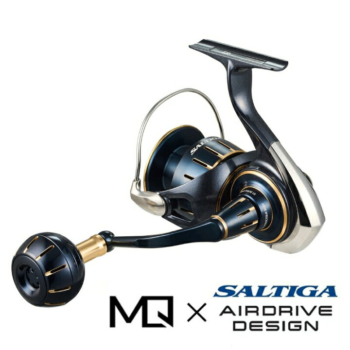 DAIWA SALTIGA セット 破格