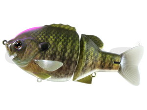 fvX uV[^[ 160F #15 XJp[` | ދ ނ tBbVO