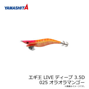 }V^ GM LIVE fB[v 3.5D 025 II}S[ z PC{fB | ދ ނ tBbVO