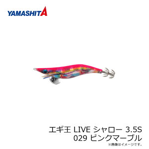 }V^ GM LIVE V[ 3.5S 029 sN}[u z e[v | ދ ނ tBbVO
