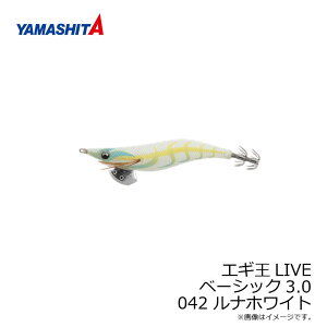 }V^ GM LIVE 3 042 izCg z {fB | ދ ނ tBbVO