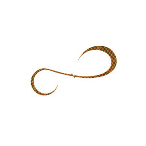 nuT t[XCh JX^VRlN^C oL[J[[_u 5 LsJIW | ދ ނ tBbVO