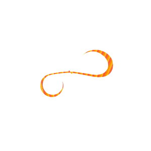 nuT t[XCh JX^VRlN^C oL[J[[_u 8 gvIW[u | ދ ނ tBbVO