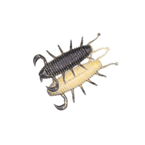 W[NbN oOs[ 2.2C` #030 S[fVCi[ | ދ ނ tBbVO