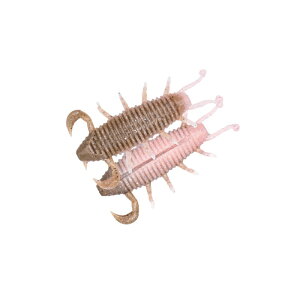 W[NbN oOs[ 2.2C` #222 ZNV[sNu[F | ދ ނ tBbVO