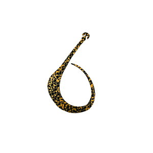 KpSX(Galapagos) ◴ NOROSHI 120 (^CE mV) 007 zOubN /XyV s[X o[ rbOJ[[ lN^C ^Co ⃉o }_C | ދ ނ tBbV