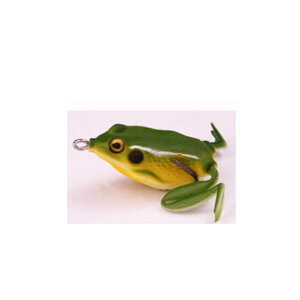 J[ng |PbgtbO PF09 utbO | ދ ނ tBbVO