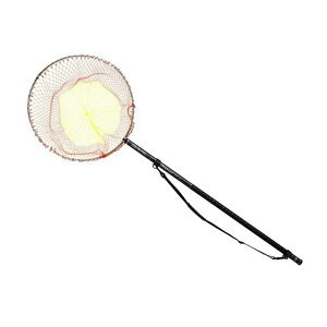 _C 23vOhʖ 50-50EW | ދ ނ tBbVO