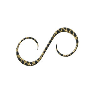 CV C_ VRlN^C WGV[gJ[[  | ދ ނ tBbVO