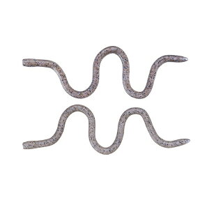 OSP MMZ i~ TW117 S[XgVv | ދ ނ tBbVO