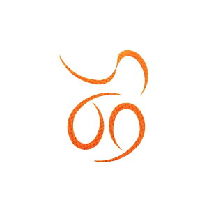 X^[g KN-01 VRlN^CJ[[ #01IWS[hXP[ | ދ ނ tBbVO