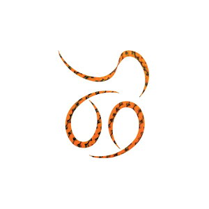 X^[g KN-03 VRlN^CJ[[ #03IW[u | ދ ނ tBbVO