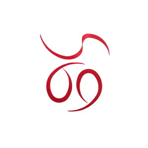 X^[g KN-04 VRlN^CJ[[ #04bhXP[ | ދ ނ tBbVO