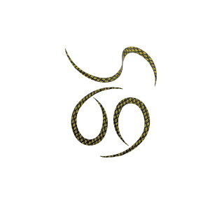 X^[g KN-07 VRlN^CJ[[ #07ubNS[hXP[ | ދ ނ tBbVO