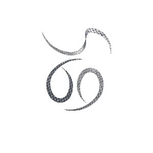 X^[g KN-09 VRlN^CJ[[ #09Vo[XP[ | ދ ނ tBbVO